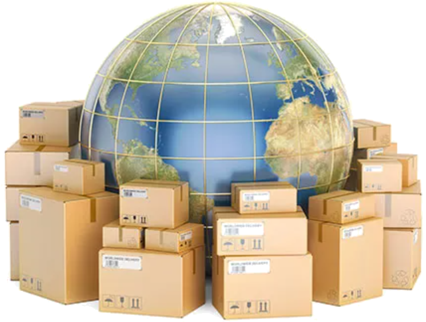 International Sourcing